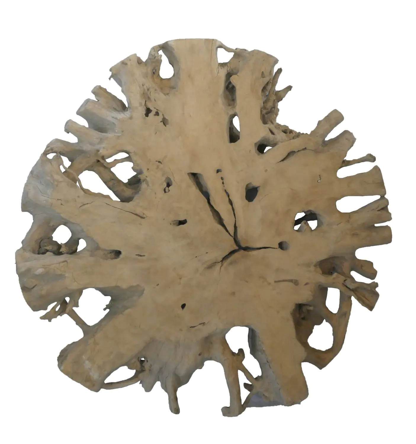  Product image 1 of the product “Up table from teak root. About 152cm length, 24cm thickness ”